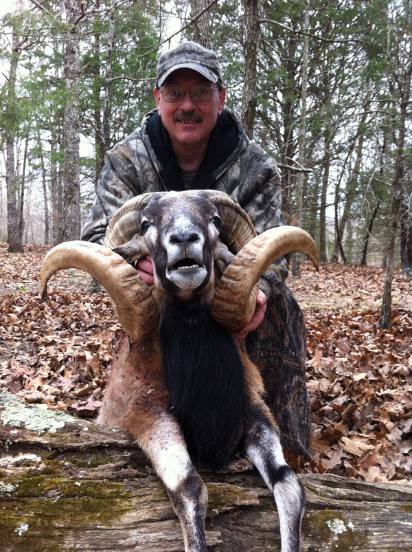 250 lb. hog was taken with a rifle.