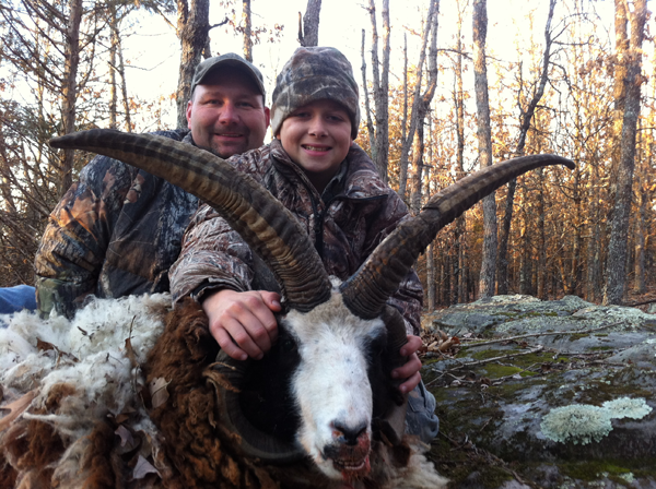 250 lb. hog was taken with a rifle.
