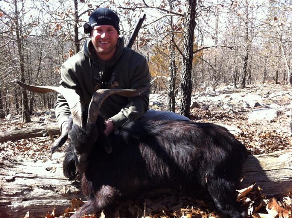 250 lb. hog was taken with a rifle.
