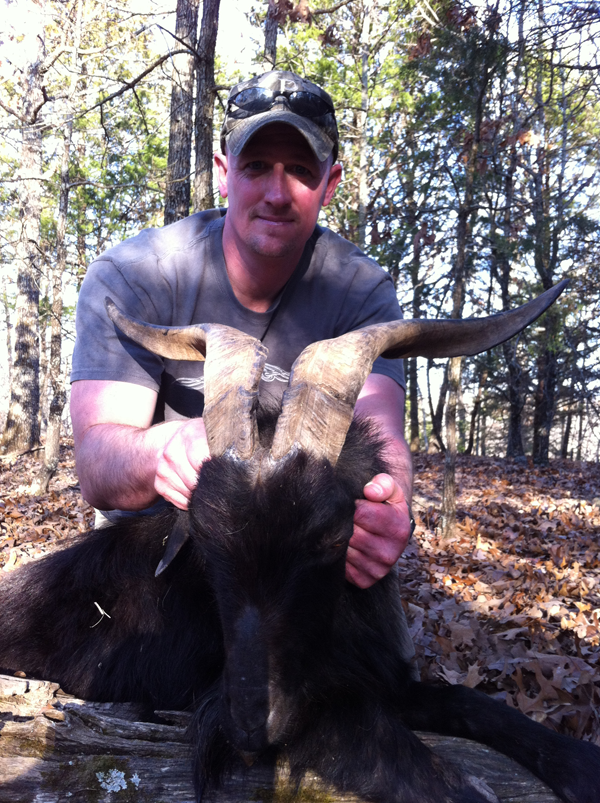250 lb. hog was taken with a rifle.