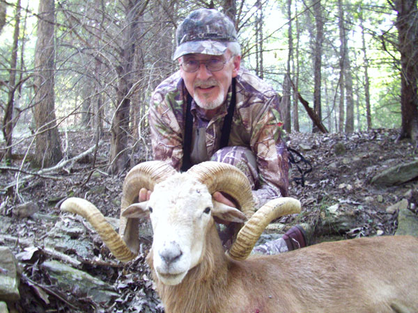 250 lb. hog was taken with a rifle.
