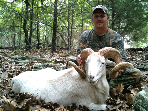 250 lb. hog was taken with a rifle.