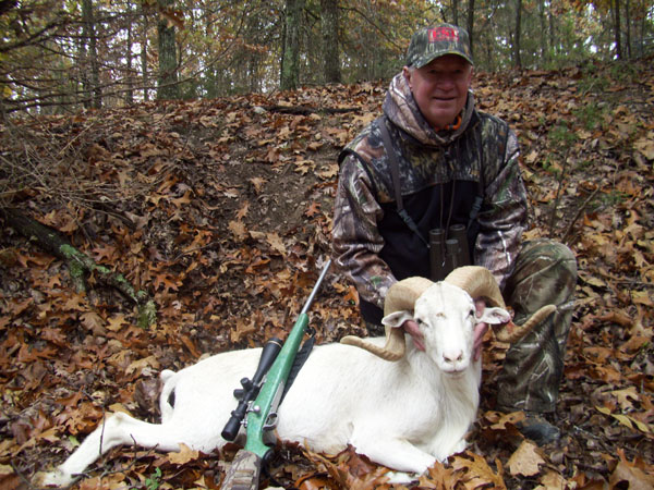 250 lb. hog was taken with a rifle.