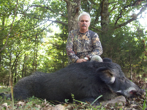 250 lb. hog was taken with a rifle.