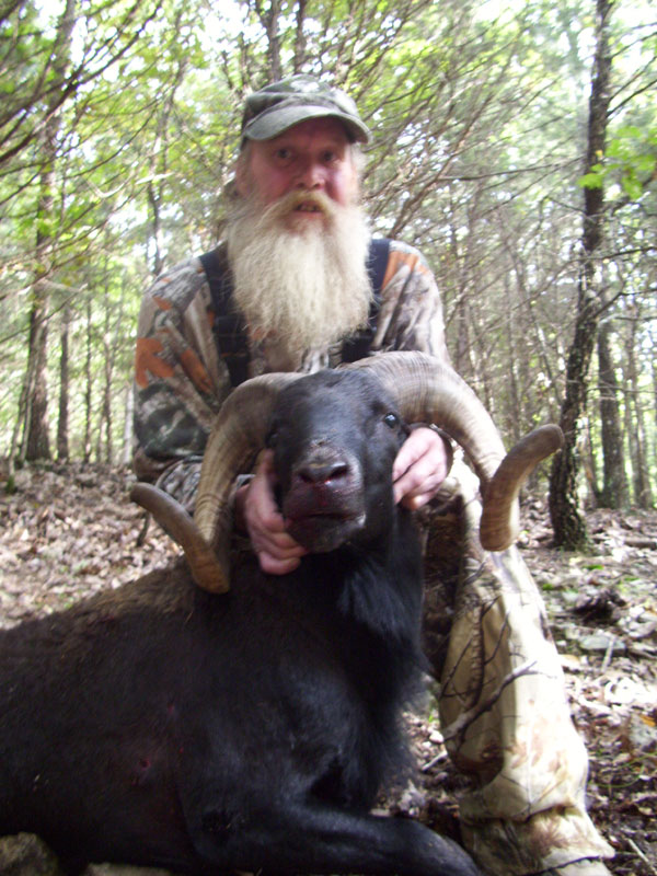 250 lb. hog was taken with a rifle.