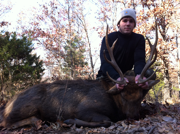 250 lb. hog was taken with a rifle.