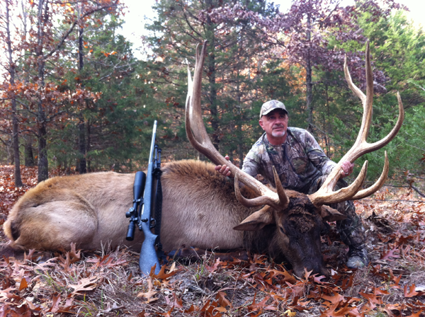 250 lb. hog was taken with a rifle.