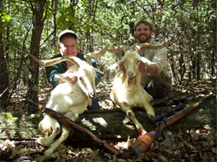 exotic hunts and standard hunts such as wild hogs hunting, deer hunting, ram hunting, and elk hunting